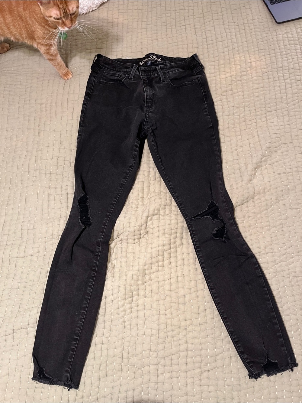 Universal Thread Black Distressed Skinny Jeans